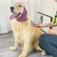 thumbnail image 3 of Winter Windproof Grooming Pet Earmuffs Keep Warm Ear Cover Cloth Hat PURPLE L, 3 of 8