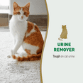 thumbnail image 4 of Nature’s Miracle Cat Urine Remover Enzymatic Formula for Carpet, Hard Floor, Fabric, Furniture, 24 oz, 4 of 10