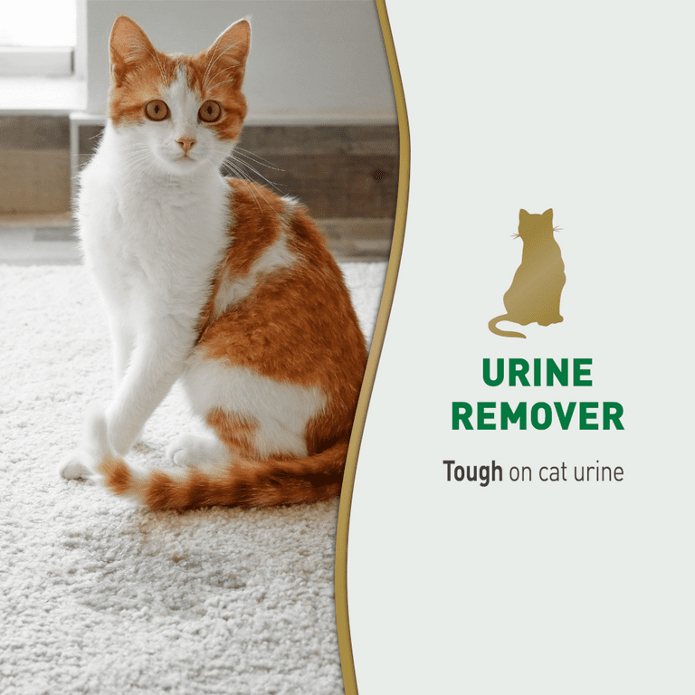 Nature's Miracle Enzyme-Based Cat Urine Remover, 24oz Carpet