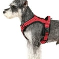 thumbnail image 4 of Pet Others Chest Harness Adjustable Harness for Dogs M Size, 4 of 4