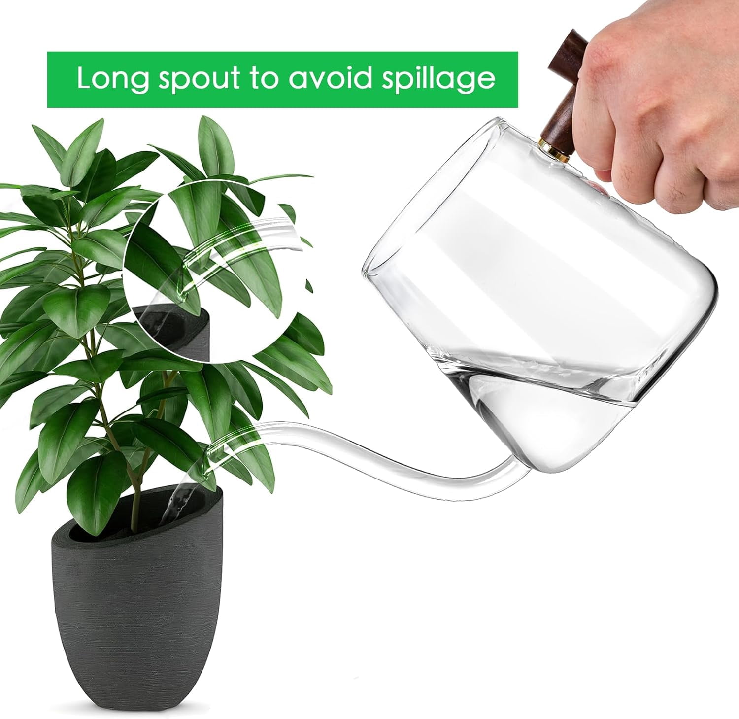 Watering Can Indoor Plants, 27 OZ Glass Can, Long Curved Spout, Suitable for Bonsai Garden Flower Decoration