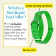 thumbnail image 5 of Country Brook Petz® 5/8 inch Hot Green Martingale Heavyduty Nylon Dog Collar, Extra Small, 5 of 6