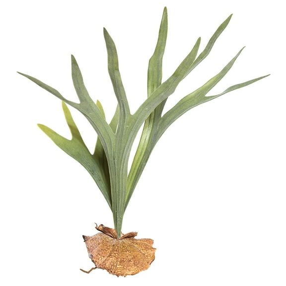 Vickerman 23.5" Artificial Green Staghorn Fern.