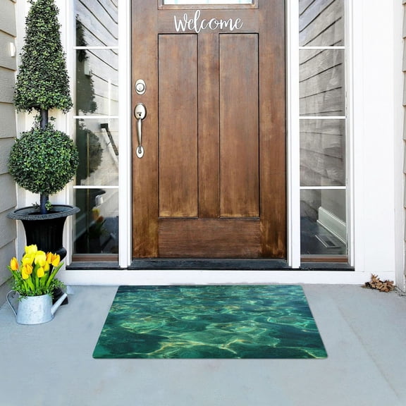 Iauyy Doormat Outdoor Indoor Non-Slip Washable Welcome Mat,Low-Profile 32x20in Door Mat for Pet Mat Front Back Door and Entryway,Clear and Emerald Green