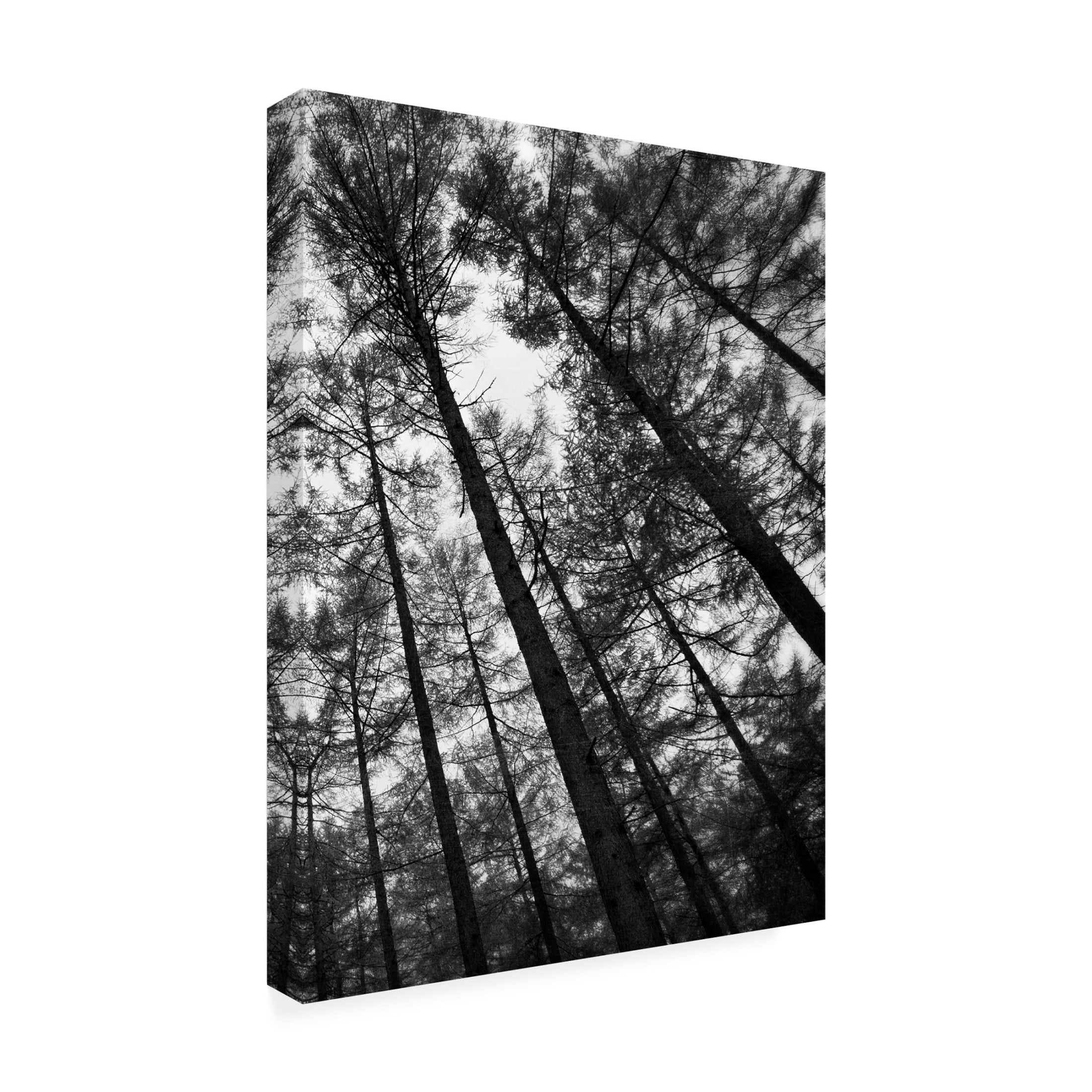 Canvas Wall Art - Tom Quartermaine 'Set of 2 Dark Tree Forest Wall Art Prints 2' Wall Art for Living Room, Bedroom, or Office Décor by Trademark Fine Art - 14 x 19 Inches