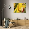 thumbnail image 3 of Dana Styber 18x13 Gallery Wrapped Canvas Wall Art Titled - Lemon Orchid I, 3 of 4