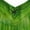 SHAMROCK FOREST_AC1053, variant on HAPPY BAY Women's Plus Size Swing House Wear Dresses 1X-2X Floral, Green