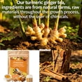 thumbnail image 4 of RitualBoxy Turmeric Ginger Cinnamon Tea Bags 30 Packs – Herbal Tea with Turmeric, Ginger, Cinnamon – Caffeine-Free Wellness Blend, Comforting & Cozy, Non-GMO, 4 of 7