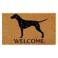 thumbnail image 3 of Calloway Mills Dalmatian Outdoor Doormat 17" x 29", 3 of 3