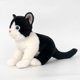 thumbnail image 4 of Juguetes de peluche de gato de imitación, animales calmantes para niños, muñecas de trapo, muñecas de gato, 4 of 4