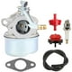 thumbnail image 1 of 640086 632641 640086A, carburador para quitanieves Powerlite CCR1000 38182, 1 of 5