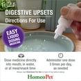 thumbnail image 6 of HomeoPet Feline DIGESTIVE UPSETS Digestive Health Support Drops for Cats, 15 mL, 6 of 8