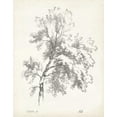 thumbnail image 2 of Unknown 26x32 Black Ornate Wood Framed with Double Matting Museum Art Print Titled - Ash Tree Study, 2 of 4