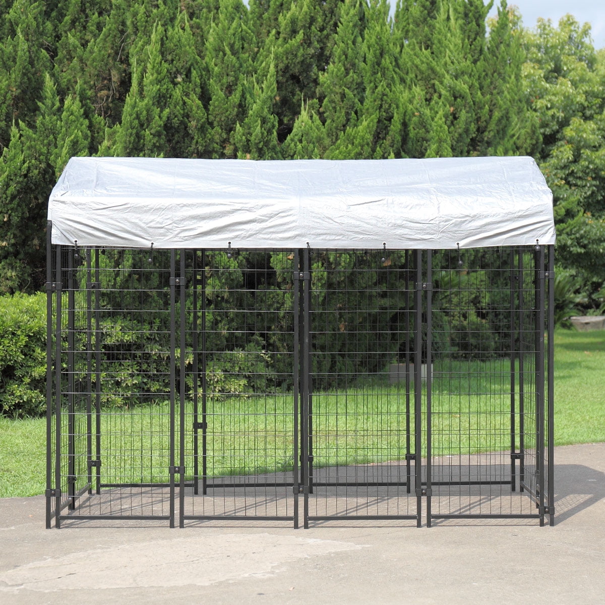 large outdoor dog kennel and run