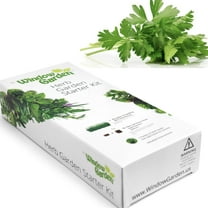 Window Garden Basil Herb Kit - Grow Your Own Food Easily & Fun