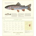 thumbnail image 4 of Trout of North America Wall Calendar 2020 (Other), 4 of 5