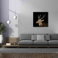 thumbnail image 4 of Epic Graffiti 'Sika Deer' by Epic Portfolio Giclee Canvas Wall Art, 37"x37", 4 of 8