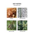 thumbnail image 5 of Set de difusores NEST New York Festive con 3 aromas de 40 ml cada uno, 5 of 5