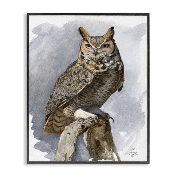 Stupell Industries Traditional Horned Owl Perched Black Framed Giclee Art, 16 x 20, by David Kiehm