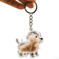 thumbnail image 6 of Dog Hair Collector Keychain Charm Memorial Storage Box, Pet Hair Memorial Keepsake, Transparent Cute Keychain, 6 of 8