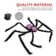 thumbnail image 5 of Araña Peluda De Halloween De 29.5 Pulgadas Con Ojos Rojos Cabeza De Calavera Araña De Felpa Decoración Pierna Ajustable Accesorios De Miedo Juguete Colgante Para Interior Y Exterior Advancent HA027547-05, 5 of 6