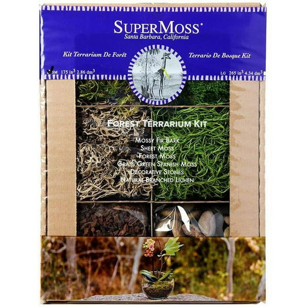 Super Moss 90423 4 oz Kit de Terrarium Forestier et 44; Couleur Assortie