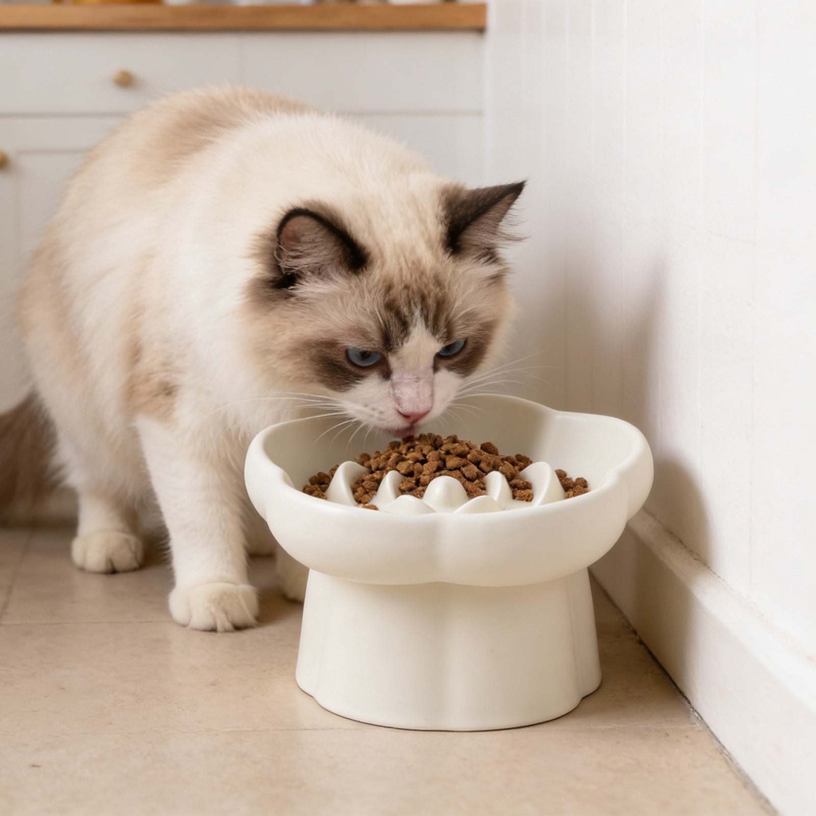 Ceramic Elevated Slow Cat Feeder, Raised Feeding Dish with Maze Design, Easy To Clean, for Indoor Cats and Small Dogs White