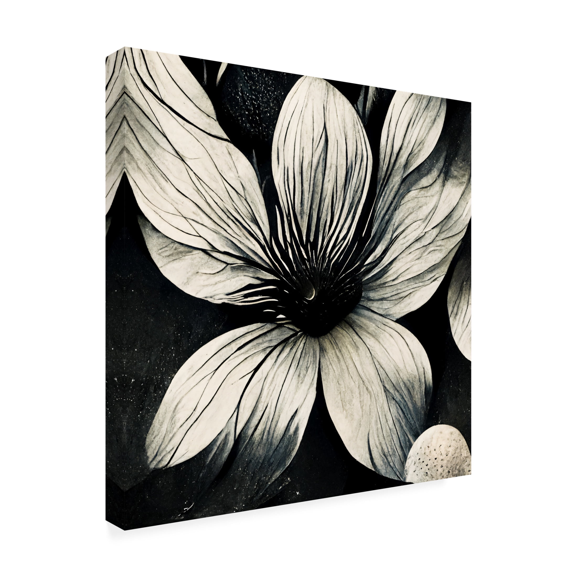 Canvas Wall Art - Ray Heere 'Flowers Black White 5' Wall Art for Living Room, Bedroom, or Office Décor by Trademark Fine Art - 18 x 18 Inches