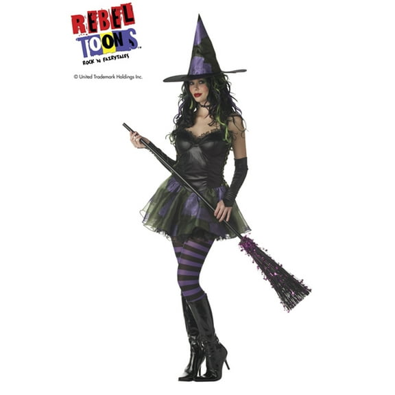 Sexy Rebel Toons Wicked Witch Of The West Adult Womens Halloween Costume