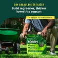thumbnail image 3 of Sunday Green Machine Premium Granular Lawn Fertilizer, 4,000 Sq. ft. 12lbs, 3 of 11