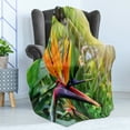 thumbnail image 4 of Plant Soft Flannel Fleece Blanket, Close-up Image of Strelitzia Reginae Bird of Paradise Flower Madeira Island Portugal, Cozy Plush for Indoor and Outdoor Use, 60" x 80", Multicolor, by Ambesonne, 4 of 5