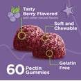 thumbnail image 5 of VITEEY Kids Elderberry Gummies with Vitamin C & Zinc, Immune Support, Berry Flavor, 60 Ct, 5 of 8