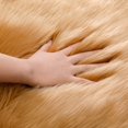 thumbnail image 3 of Super Soft White Fluffy Rug Faux Fur Area Rug, Fur Rugs for Bedroom, Fuzzy Carpet for Living Room, 2x4 Feet, Ciicool, 3 of 6