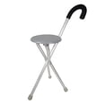 thumbnail image 2 of Travelon Walking Seat and Cane in One, Grey, One Size, 2 of 4