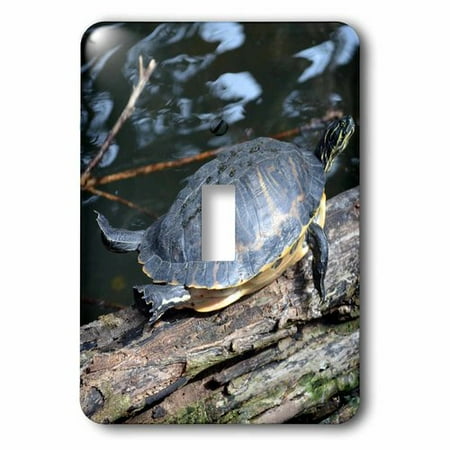 Slider Switch - 3dRose yellow belly slider sunning self on log , Single Toggle Switch