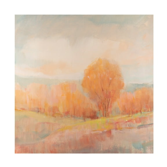 Tim O'Toole 'Early Frost II' Canvas Art