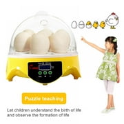 Wuffmeow 7 Eggs Household Incubators, Automatic Incubators, Clear General Purpose Incubators for Ducks Geese Birds Quail Goose Birds Children's Smart Devices, Teaching Experimental Supplies