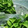 thumbnail image 5 of Garden Insect Netting, Mesh Netting Bird Pest Bug Barrier Netting Plant Cover for Protect Plants Fruits Vegetables Crops, 5 of 8
