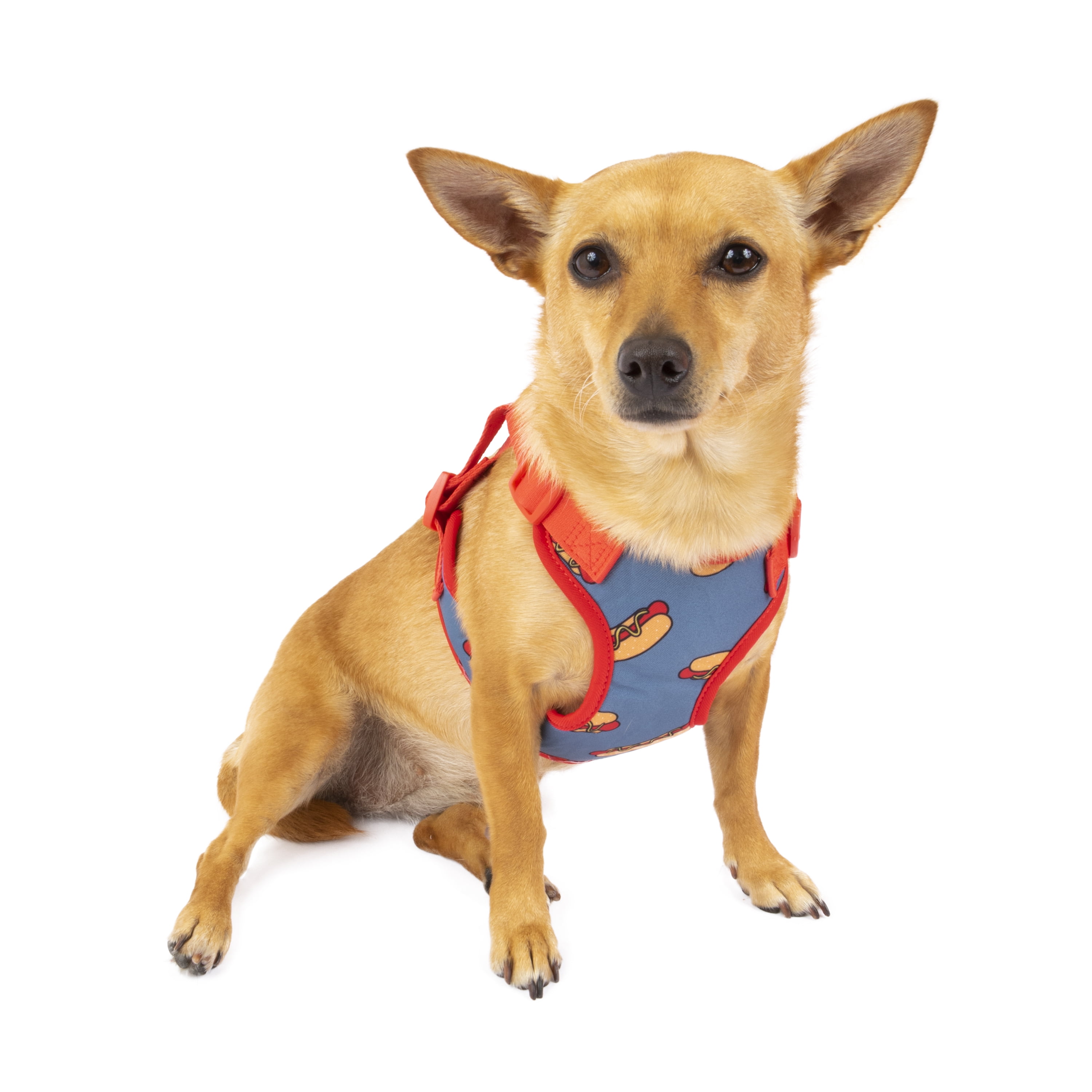 hot dog harness