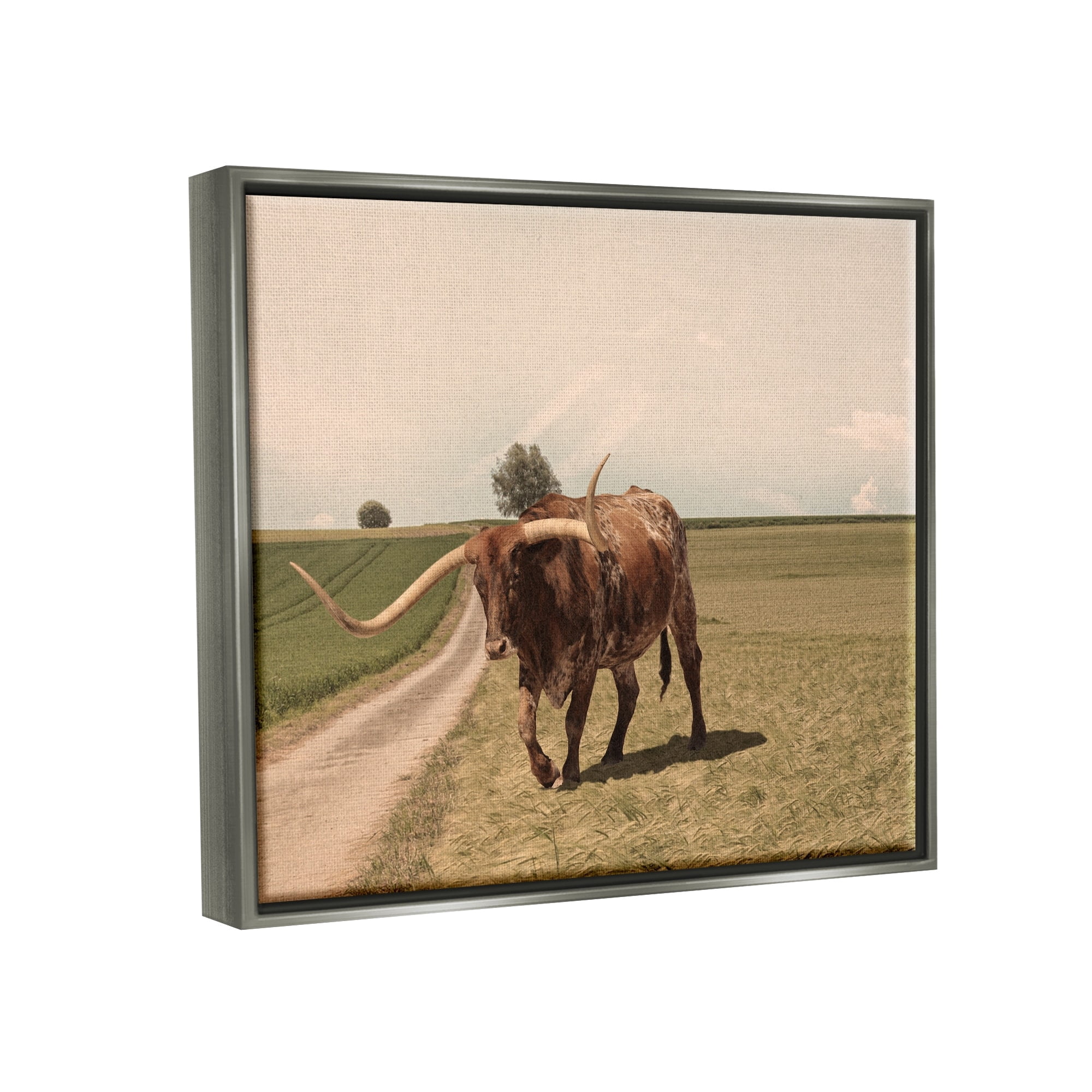 Stupell Industries Longhorn Cattle Grazing Scenic Countryside Landscape Photograph Luster Gray Floating Framed Canvas Print Wall Art, Design by Marcus Prime