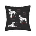thumbnail image 4 of Set of 2 Square Throw Pillow Covers 18x18in - Stylish Black Background with Elegant White Labrador Designs for Couch Bed Car, 4 of 8