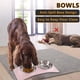thumbnail image 5 of Cuencos dobles para perros y gatos, cuencos para mascotas de acero inoxidable, alimentador de agua para comida, gatos, perros pequeños, 5 of 8