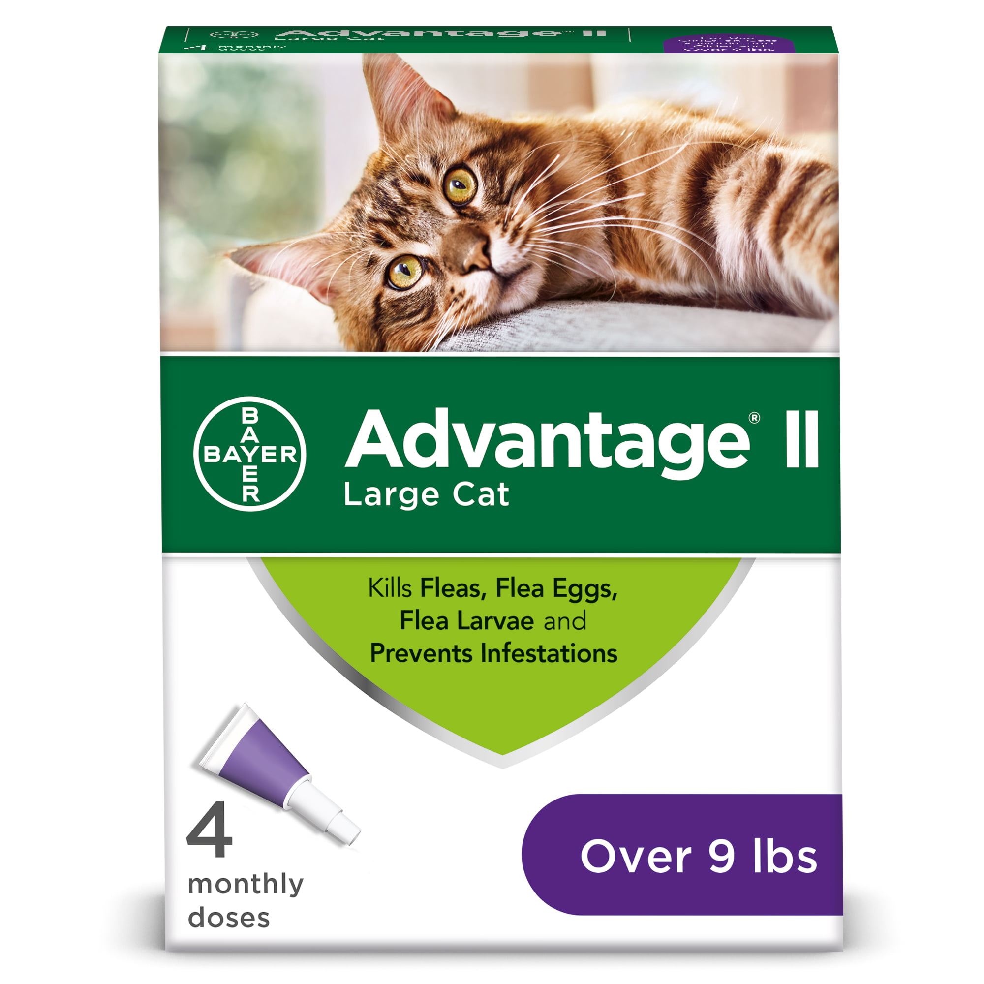 Advantage II Flea Treatment for Large Cats, 4 Monthly Treatments