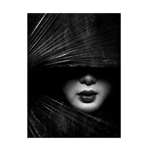 Canvas Wall Art - Anthony Skip 'Untitled' Wall Art for Living Room, Bedroom, or Office Décor by Trademark Fine Art - 14 x 19 Inches