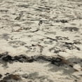 thumbnail image 5 of Mohawk Home Agatha Washable Low Pile Stain and Fade Resistant Indoor Area Rug, Cream, 5' 3" X 8', 5 of 9