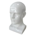 thumbnail image 4 of Men Mannequin Head PVC Display Stand Durable Styling for Game Console, Hats, Jewellery 13.4inch Tall Gloss White, 4 of 8