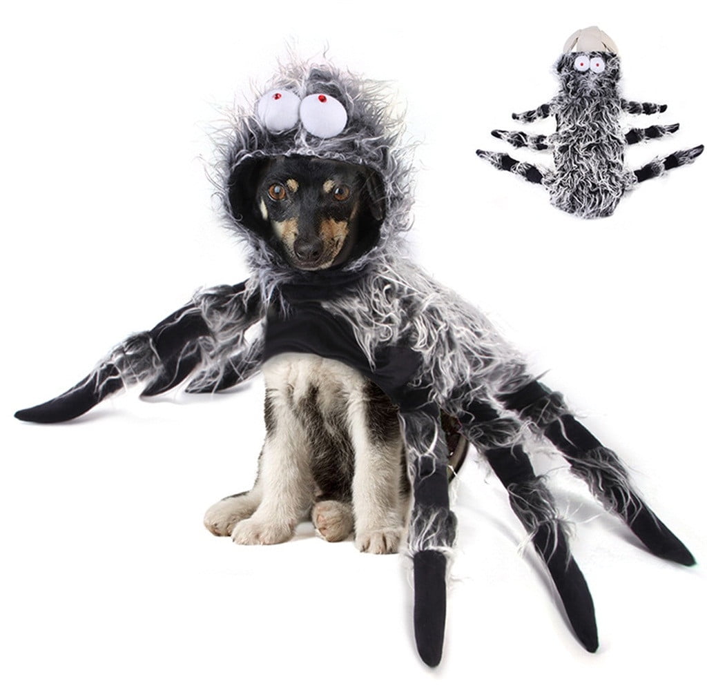Shldybc Dog Cat Spider Costume for Halloween Party Decoration
