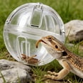 thumbnail image 6 of Interactive Reptile Feeder Ball - Bearded Dragon Enrichment Toy & Slow Feeder for Live Worms, Terrarium Tank Decor for Lizards, Geckos, Chameleons, 6 of 6