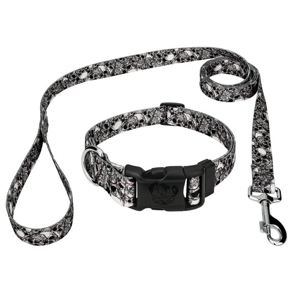 Country Brook Petz® Deluxe Phantom Skulls Dog Collar and Leash, Mini