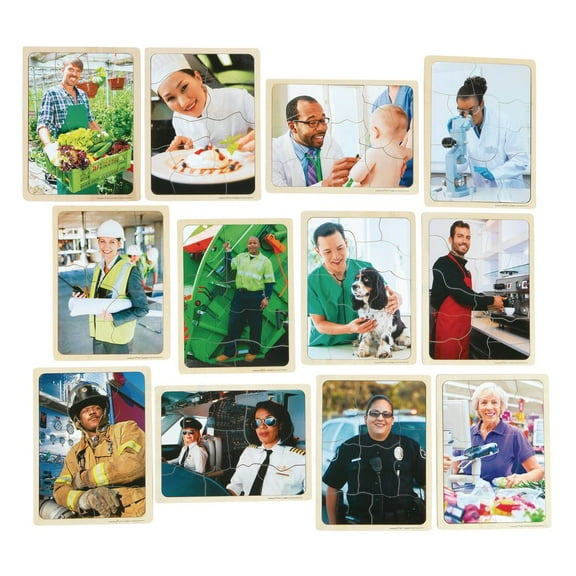 Excellerations Career Puzzles Set of 12